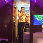 Organic Smoothie - Onboard SEXYjet